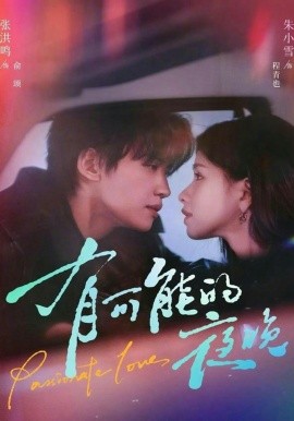 有可能的夜晚(全集)